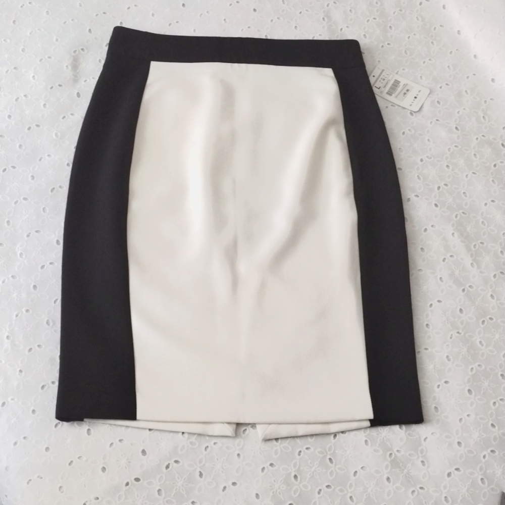 Zara Basic Skirt Black White Color Block